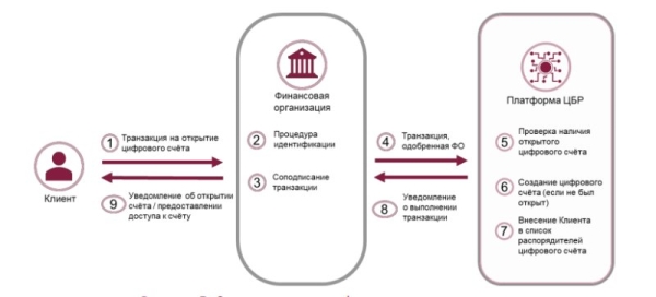 Цифровой белорусский рубль появится в 2026 году – что нужно знать гражданам Цифровой белорусский рубль появится в 2026 году – что нужно знать гражданам
