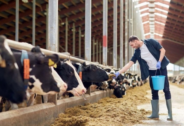 Зарплаты до 5000 рублей. Посмотрели, какие вакансии предлагают белорусам для работы в сельском хозяйстве Зарплаты до 5000 рублей. Посмотрели, какие вакансии предлагают белорусам для работы в сельском хозяйстве