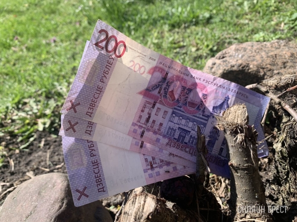 Кто в Беларуси получает самые большие зарплаты Кто в Беларуси получает самые большие зарплаты