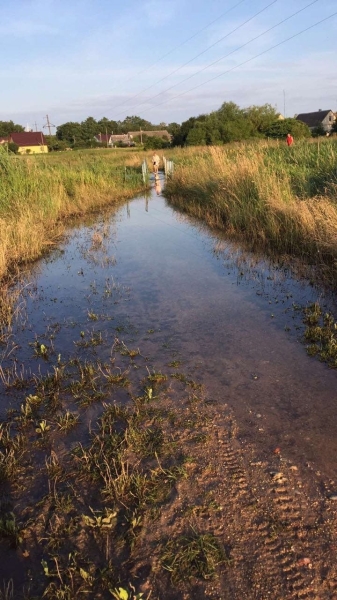 Жители Волковыска оказались заблокированными на своих дачах
Жители Волковыска оказались заблокированными на своих дачах